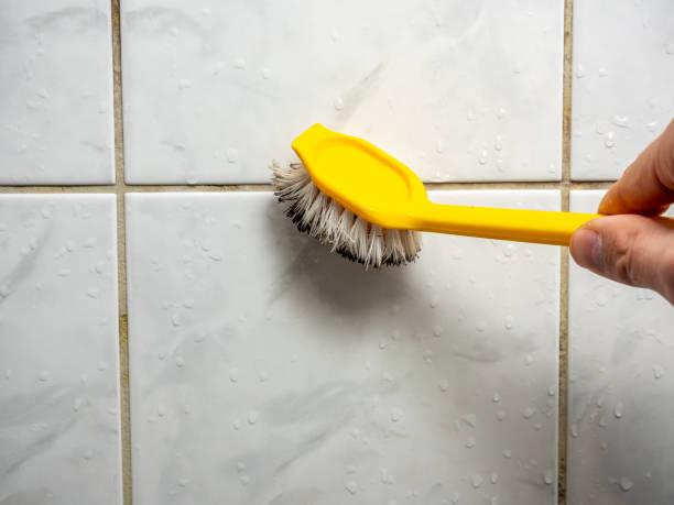 Best Mold Remediation  in Neah Bay, WA