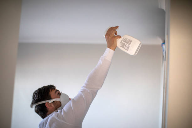 Best Mold Damage Repair  in Neah Bay, WA