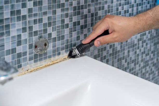 Best Mold Damage Repair  in Neah Bay, WA