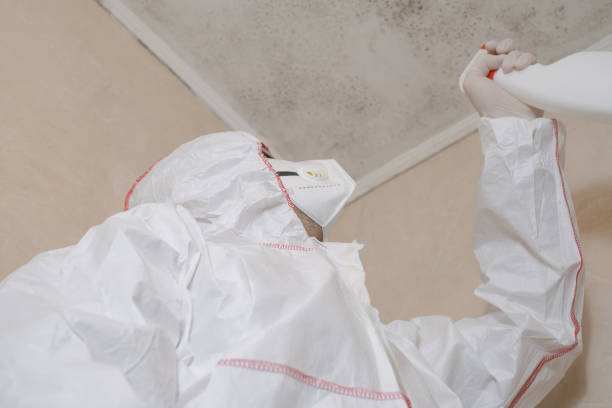 Best Affordable Mold Removal  in Neah Bay, WA