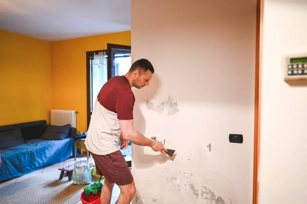 Best Best Mold Removal Companies  in Neah Bay, WA