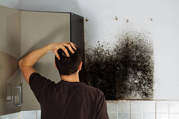 Best Mold Removal Near Me  in Neah Bay, WA